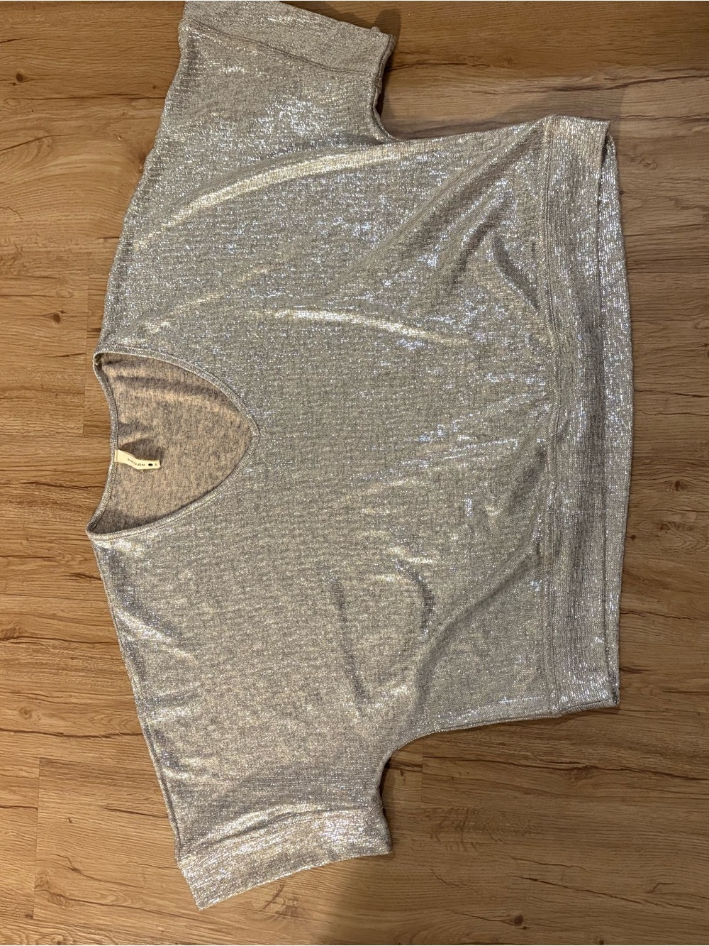 Tyche Silver Metallic V-Neck Short Sleeve Top